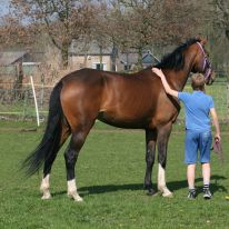 kinderdierenarts kinderdierenarts