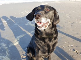 Zin in het leven Zin in het leven