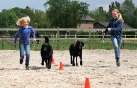 Kind & Hond dag succesvol Kind & Hond dag succesvol