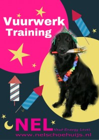 Rust voor je hond, ook in december Rust voor je hond, ook in december