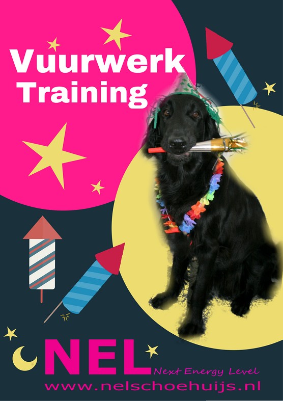 Rust Voor Je Hond Ook In December Nel Schoehuijs
