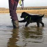 Lijk jij op mij of ik op jou?