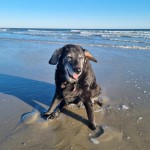 Becky in haar paradijs