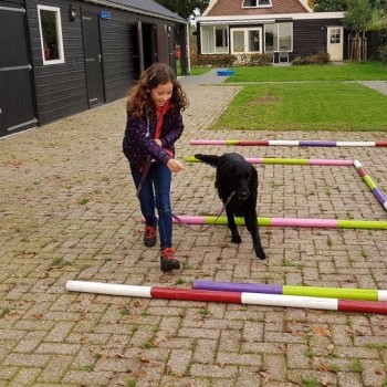 Bo van der Goes Bo van der Goes